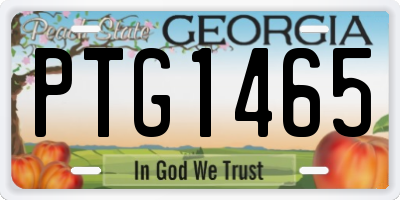 GA license plate PTG1465