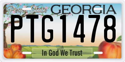 GA license plate PTG1478
