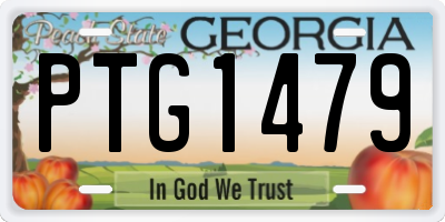 GA license plate PTG1479