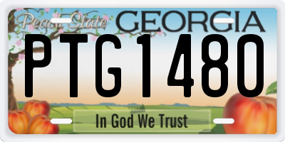 GA license plate PTG1480