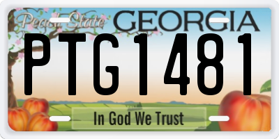 GA license plate PTG1481