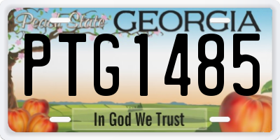 GA license plate PTG1485