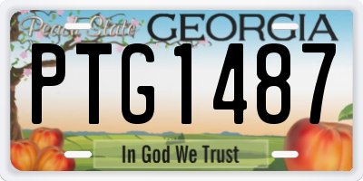 GA license plate PTG1487