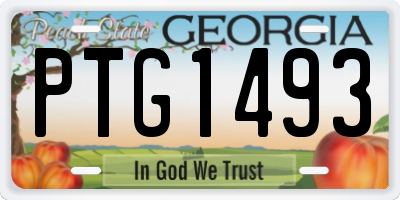 GA license plate PTG1493