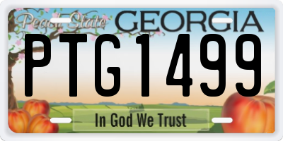 GA license plate PTG1499