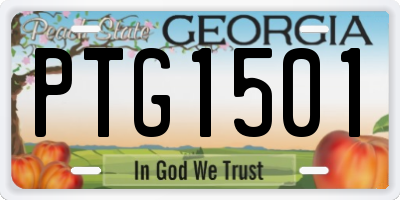 GA license plate PTG1501