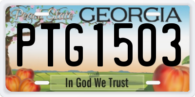 GA license plate PTG1503