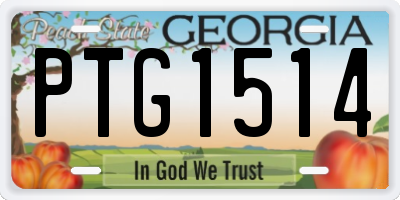 GA license plate PTG1514