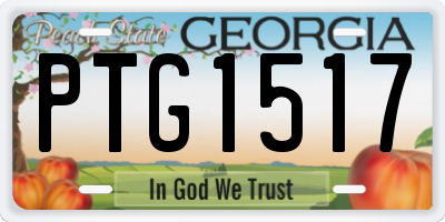 GA license plate PTG1517