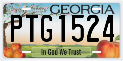 GA license plate PTG1524