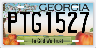 GA license plate PTG1527