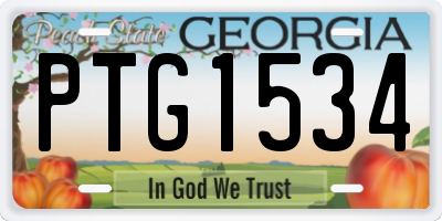 GA license plate PTG1534