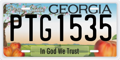GA license plate PTG1535