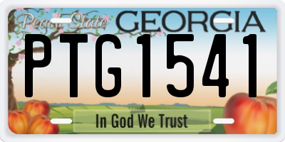 GA license plate PTG1541