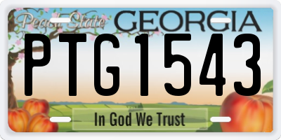 GA license plate PTG1543