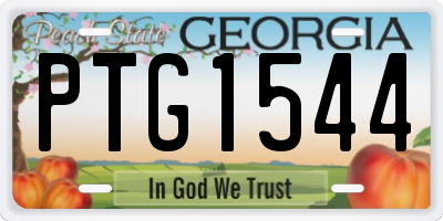 GA license plate PTG1544