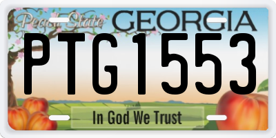 GA license plate PTG1553