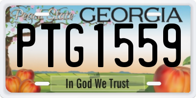GA license plate PTG1559