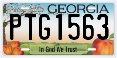 GA license plate PTG1563