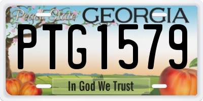 GA license plate PTG1579
