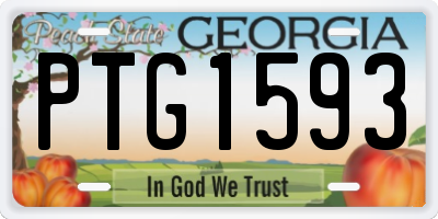 GA license plate PTG1593