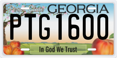 GA license plate PTG1600