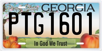 GA license plate PTG1601