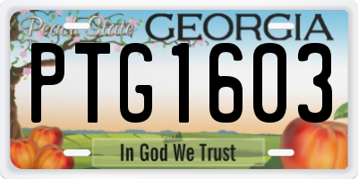 GA license plate PTG1603