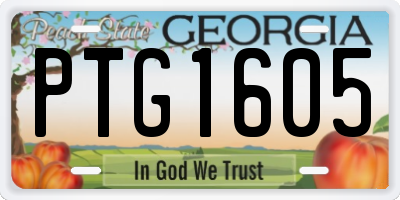 GA license plate PTG1605