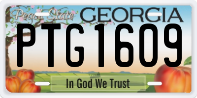 GA license plate PTG1609