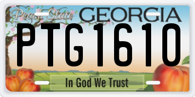 GA license plate PTG1610