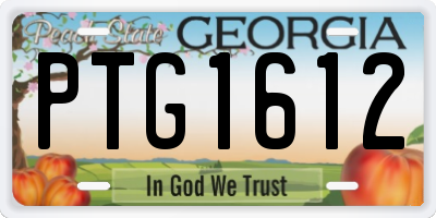 GA license plate PTG1612
