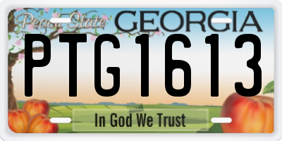 GA license plate PTG1613