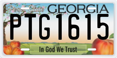 GA license plate PTG1615
