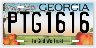 GA license plate PTG1616