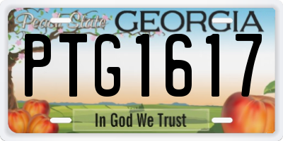 GA license plate PTG1617