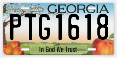GA license plate PTG1618