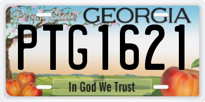 GA license plate PTG1621