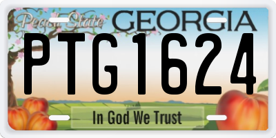 GA license plate PTG1624
