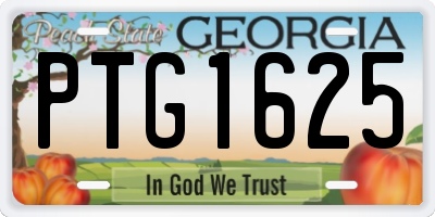 GA license plate PTG1625