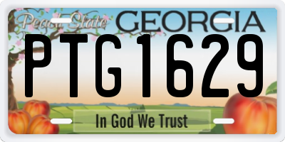 GA license plate PTG1629