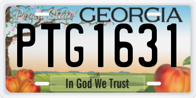 GA license plate PTG1631