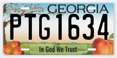 GA license plate PTG1634