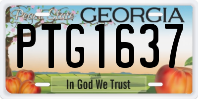 GA license plate PTG1637