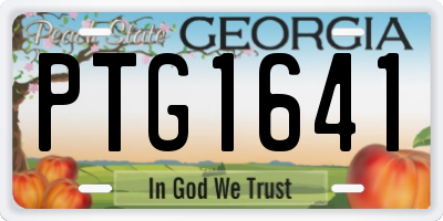 GA license plate PTG1641