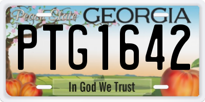GA license plate PTG1642