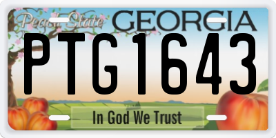 GA license plate PTG1643