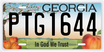 GA license plate PTG1644