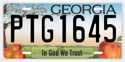GA license plate PTG1645
