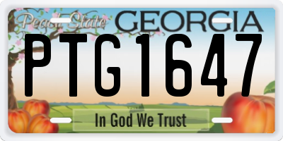 GA license plate PTG1647
